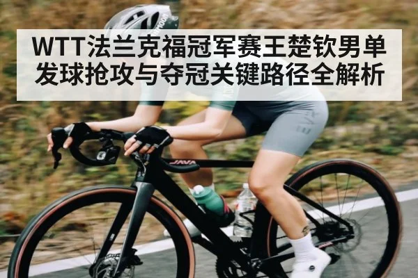 WTT法兰克福冠军赛王楚钦男单发球抢攻与夺冠关键路径全解析
