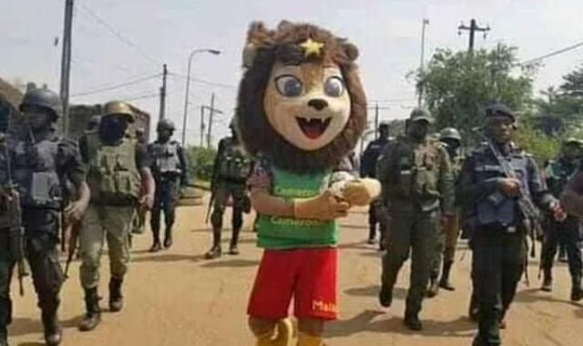 足球直播-炸弹“预热”装甲车压阵 非洲杯能安全举行么？